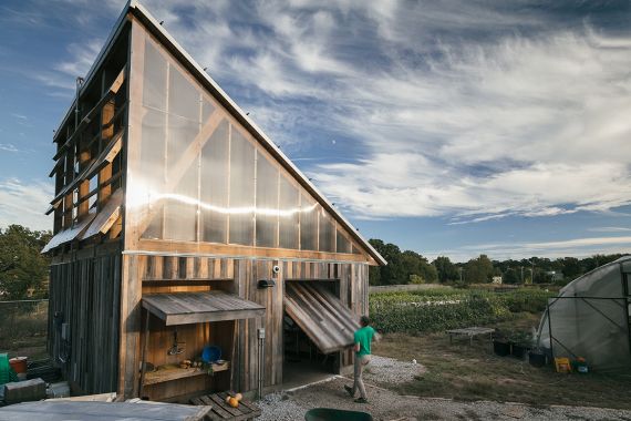 Urban Farm Shed