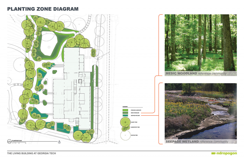 FIGURE 5. Planting zone diagram, courtesy of Andropogon.